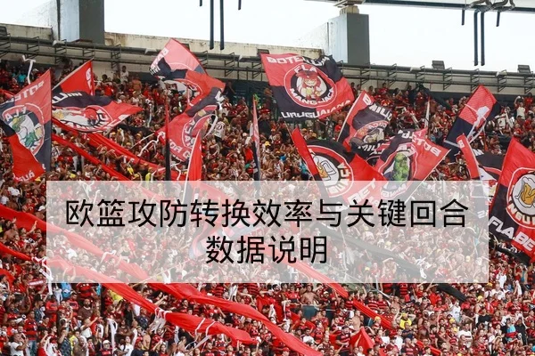欧篮攻防转换效率与关键回合数据说明